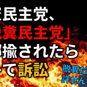【ゆっくり解説】立憲民主党が「脱糞民主党」と揶揄されて名誉棄損で訴えた件