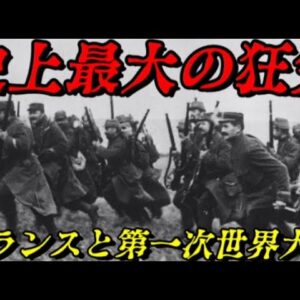 フランスと第一次世界大戦　正気の沙汰ではない