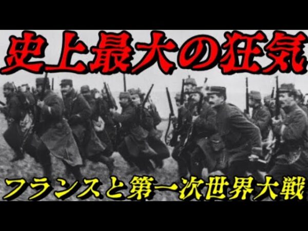 フランスと第一次世界大戦　正気の沙汰ではない