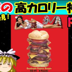 【おもしろゆっくり】魅惑の高カロリー特集！その②