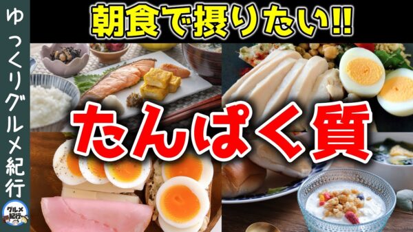 【ゆっくり解説】朝こそタンパク質！なぜ朝食にタンパク質を摂ると美容・健康によいのか？