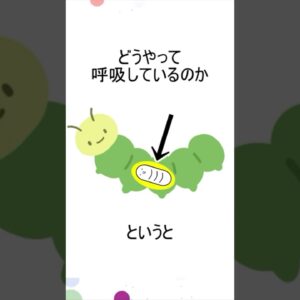 体内の寄生虫はどうやって息してるの？