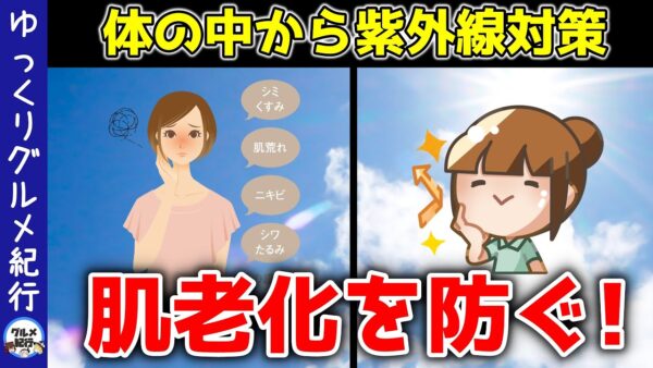 【ゆっくり解説】体の中から紫外線ケア！肌老化を防ぐ成分！効くオススメ食品