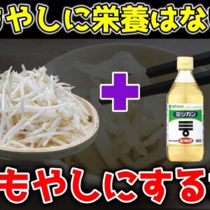 【ゆっくり解説】もやしに栄養はない！？酢もやしにするだけでスゴい効果！
