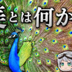 【ゆっくり解説】クジャクはなぜ生存にきわめて不利な大きな羽をもつのか－「美しさ」が表す本当の意味－