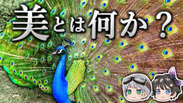【ゆっくり解説】クジャクはなぜ生存にきわめて不利な大きな羽をもつのか－「美しさ」が表す本当の意味－