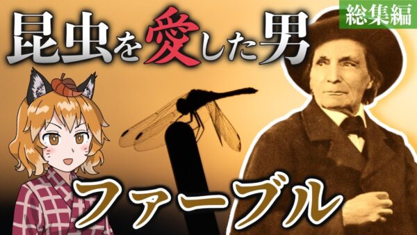 【総集編】昆虫を愛した男！ファーブルのストイックな生涯