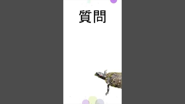 虫同士で会話ってするの？