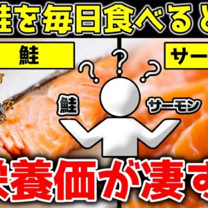 【ゆっくり解説】鮭を毎日食べると…栄養価が凄すぎるとんでもない効果！水銀や安全性は？