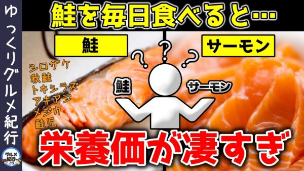 【ゆっくり解説】鮭を毎日食べると…栄養価が凄すぎるとんでもない効果！水銀や安全性は？