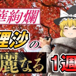 【ゆっくり解説】豪華絢爛　魔理沙の華麗なる1週間【資格】