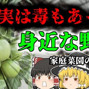 【2004年】家庭菜園で育てていた