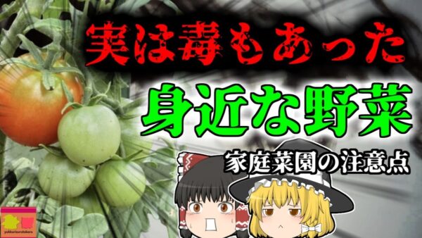 【2004年】家庭菜園で育てていた