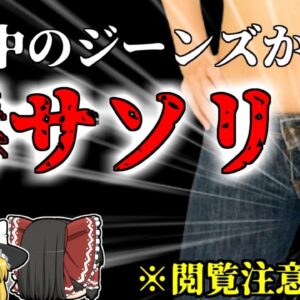 【2006年】※閲覧注意  試着中に突然激痛で悲鳴を上げた女性 ジーンズの中に入っていたのは『サソリ』！？【ゆっくり解説】