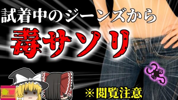 【2006年】※閲覧注意  試着中に突然激痛で悲鳴を上げた女性 ジーンズの中に入っていたのは『サソリ』！？【ゆっくり解説】
