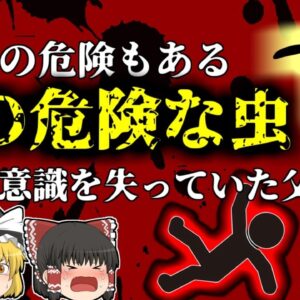 【2016年】帰宅すると玄関で顔をパンパンに腫らし意識を失っていた父 …娘の外出中に一体何が？夏に注意しなければいけない