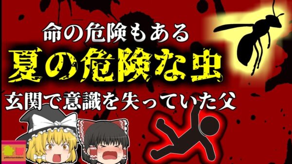 【2016年】帰宅すると玄関で顔をパンパンに腫らし意識を失っていた父 …娘の外出中に一体何が？夏に注意しなければいけない