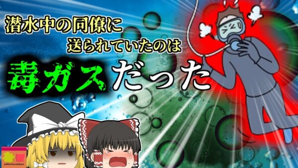 【2016年】海岸工事で潜水士に送られていたのは酸素ではなく