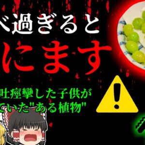 【2018年】ホームパーティーで子供が夢中で食べていたある
