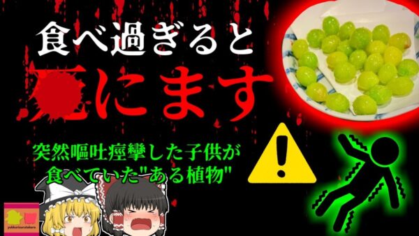 【2018年】ホームパーティーで子供が夢中で食べていたある