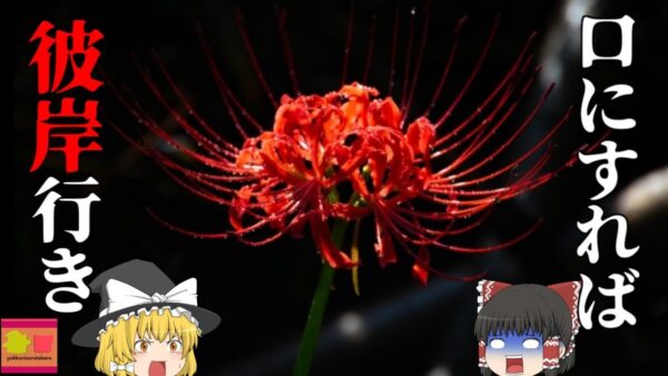 【2019年】いつも食べていた庭の