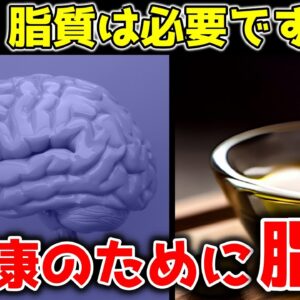 【ゆっくり解説】脂質は脳の健康に必要！生涯にわたって食べ続けるべき脂質！摂らなければならない理由【40代50代】