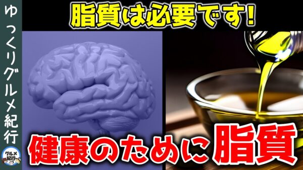 【ゆっくり解説】脂質は脳の健康に必要！生涯にわたって食べ続けるべき脂質！摂らなければならない理由【40代50代】