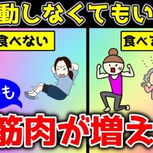 【ゆっくり解説】運動以外で筋肉が増える！魔法の食べ物！【40代50代】
