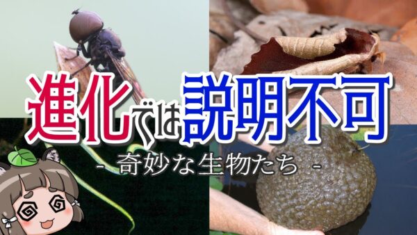 【神秘】進化では説明出来ない奇妙な生き物7選