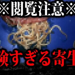 致死率97％！？危険すぎる寄生生物７選【ゆっくり解説】