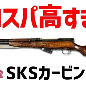 【武器解説】SKSカービン、AKと共に完成した高コスパ吉牛セミオートライフル