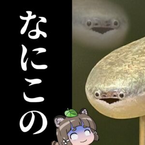 【Twitterで話題】サカバンバスピスってなんなの？シュールな顔から学ぶ無顎類の進化