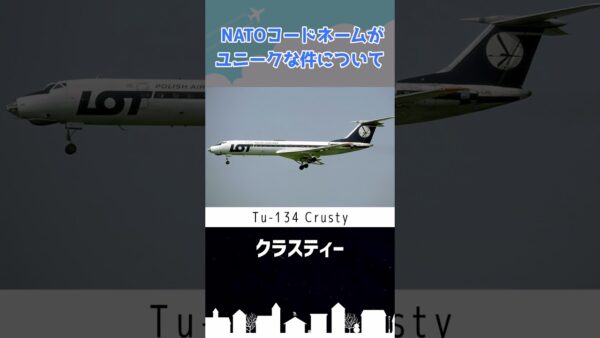 西が東の航空機に付けるあだ名がユニークな件 #shorts