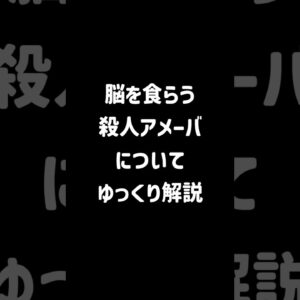 【１分解説】脳を食らう殺人アメーバとは？【ゆっくり解説】#shorts