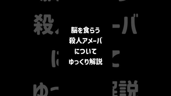 【１分解説】脳を食らう殺人アメーバとは？【ゆっくり解説】#shorts