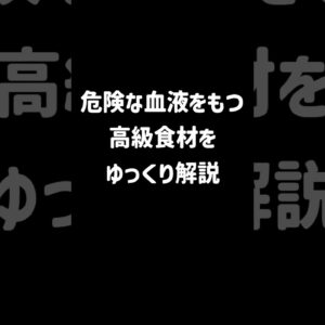 【１分解説】実は毒をもつ高級食材【ゆっくり解説】#shorts