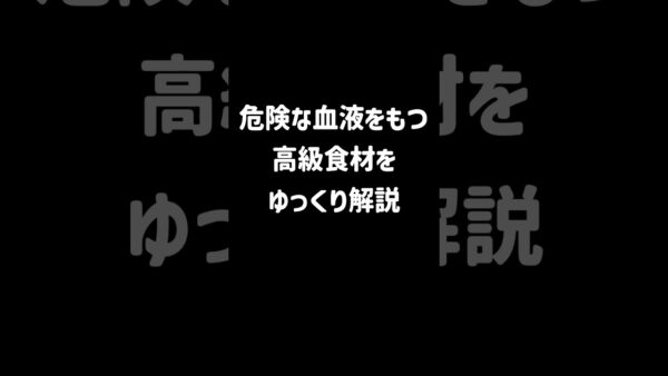 【１分解説】実は毒をもつ高級食材【ゆっくり解説】#shorts