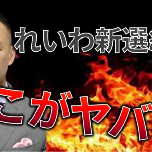 【ゆっくり解説】れいわ新選組がヤバいと言われる理由をわかりやすく解説
