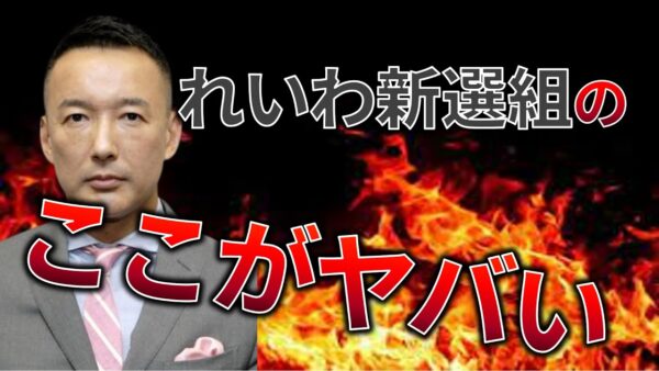 【ゆっくり解説】れいわ新選組がヤバいと言われる理由をわかりやすく解説