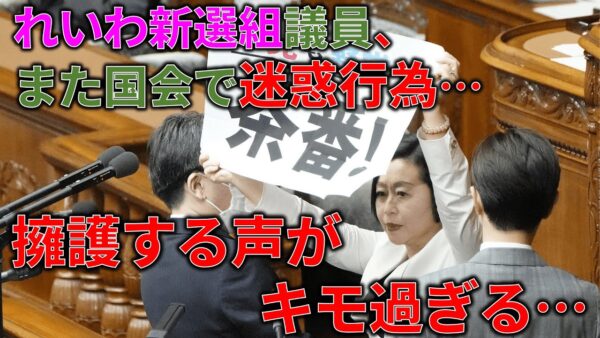【政治まとめ】迷惑をかけることでしかアピールできないれいわ新選組＆仁藤夢乃のお気持ち表明が理屈に合わない件