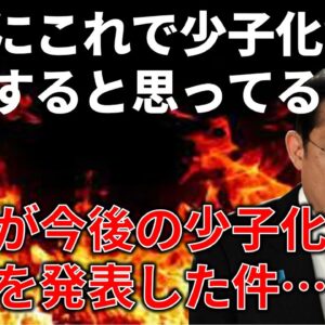 【ゆっくり解説】政府の異次元の少子化対策(笑)が発表されたので見ていこう