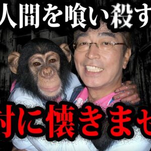 人間を喰い○した。人間を襲ったヤバすぎる動物７選【ゆっくり解説】