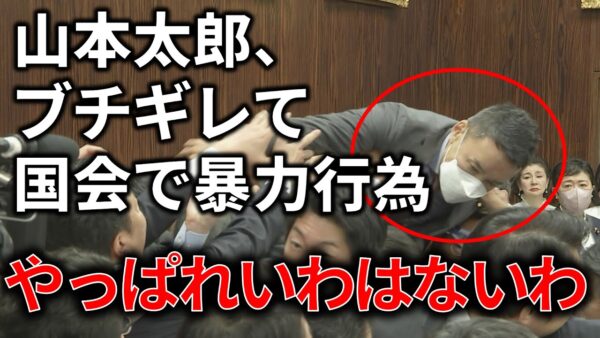 【政治まとめ】山本太郎が国会で暴力＆傷害。本当にどうしようもない議員です。