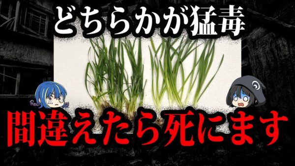 絶対に食べるな！食用と間違えやすい毒物７選【ゆっくり解説】