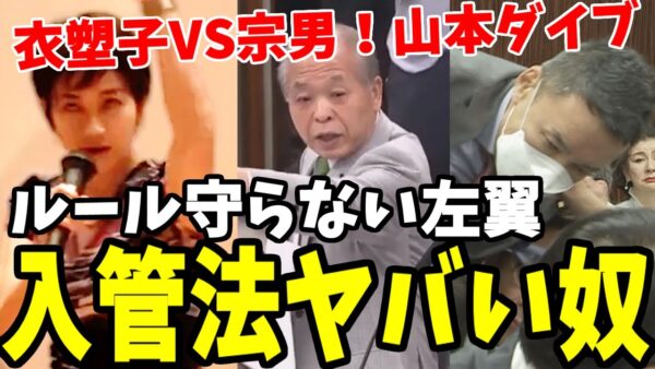 【ゆっくり解説】支持者も議員もバカばっか？入管法改正に反対した残念な人たちー【望月衣塑子・山本太郎】