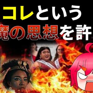 ポリコレとかいう一部の変人の達成感を満たすためだけにある思想について