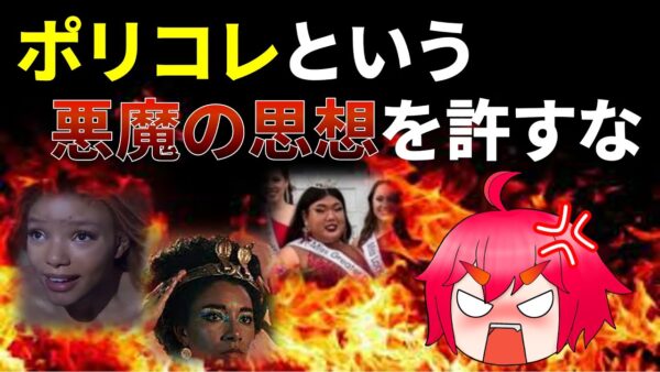 ポリコレとかいう一部の変人の達成感を満たすためだけにある思想について