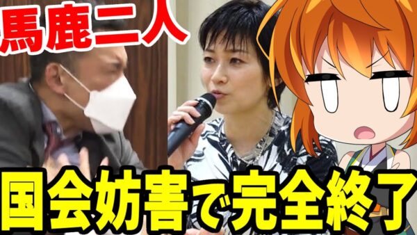 【ゆっくり解説】駄々をこねる山本太郎と、身内からも切られかける望月衣塑子－入管法改正で二人とも完全終了か