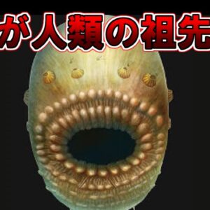 【ゆっくり解説】全人類の祖先はこれです。この生物を解説します。