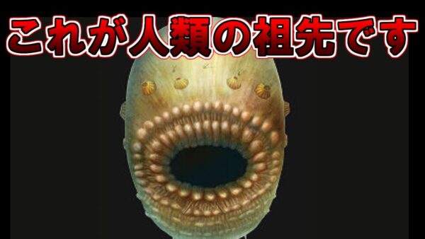 【ゆっくり解説】全人類の祖先はこれです。この生物を解説します。
